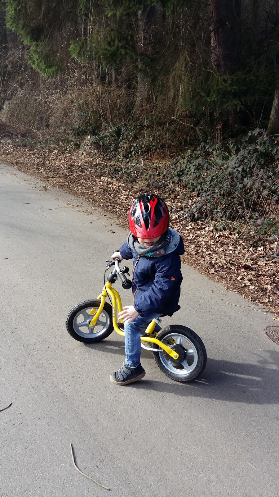 Center Parcs Naher Dran Neues Online Magazin