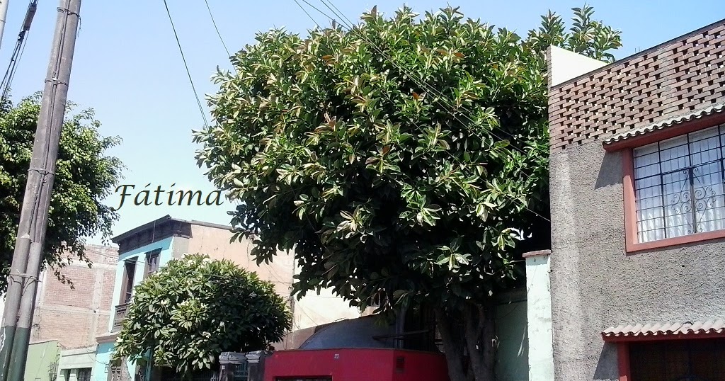 Fátima Rodríguez Serra Calle Corpancho en Barranco