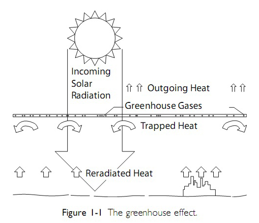THE GREENHOUSE EFFECT - Tropical Architecture