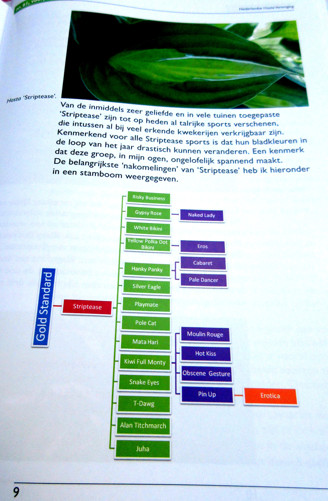 New Years Eve Singapore 2021 Events Parties Countdown