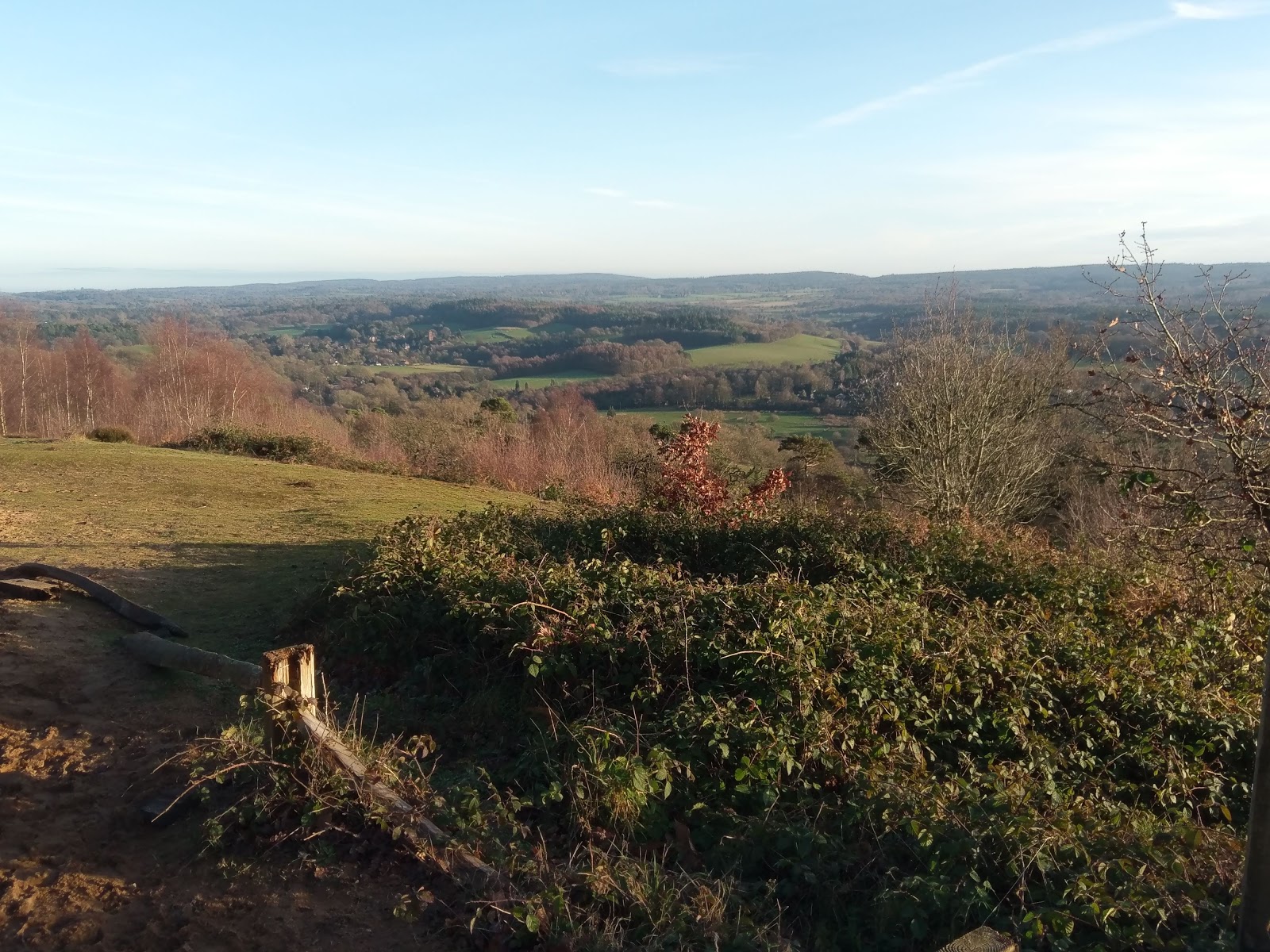 Guildford Property Newsletter Burpham or Merrow?