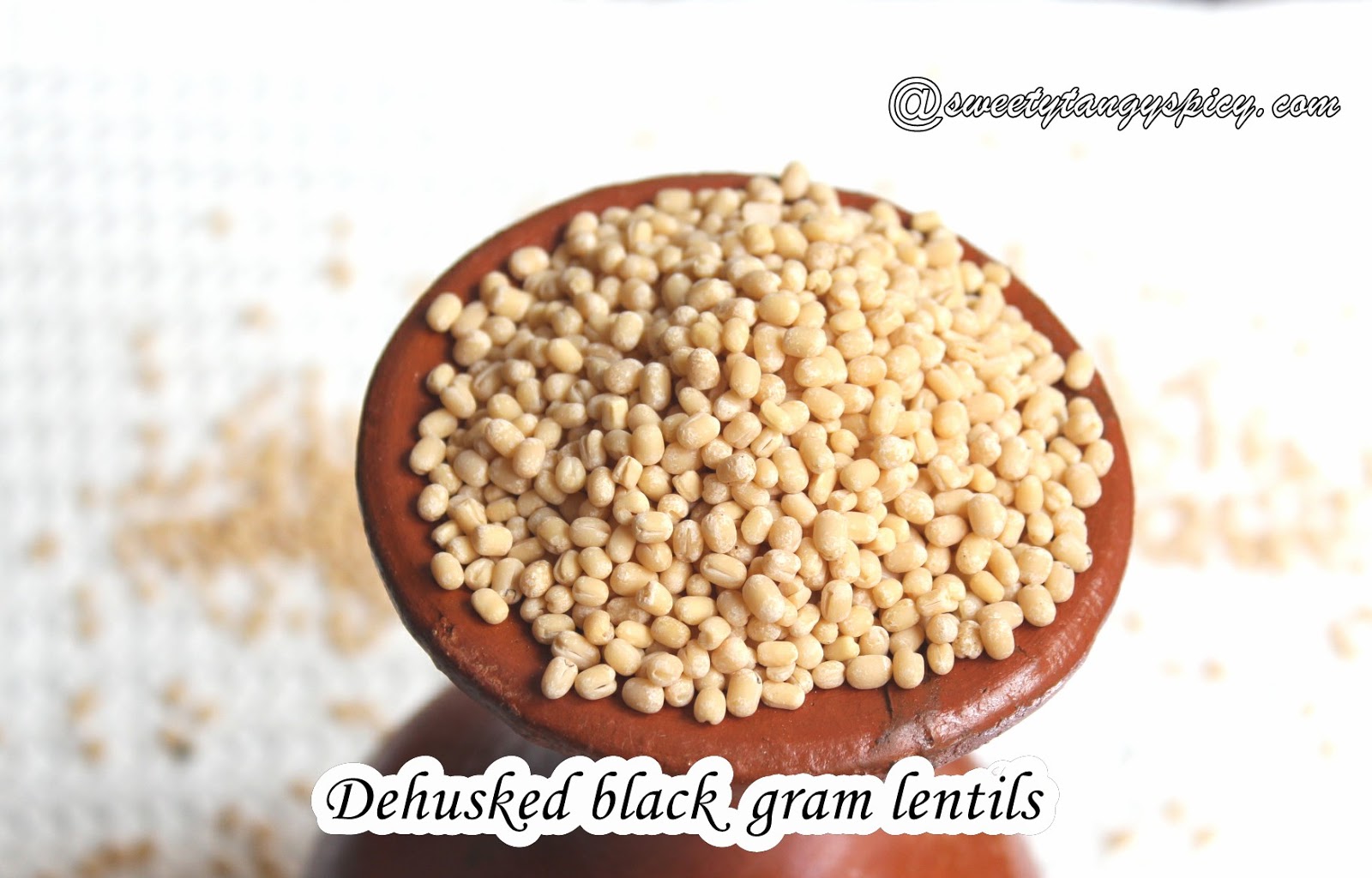 ഉഴുന്ന്