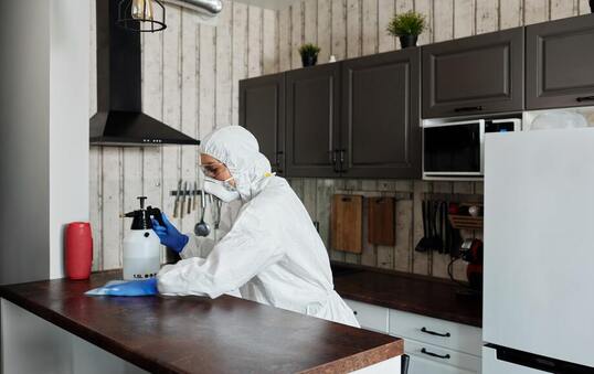 WHO Says, Spraying Disinfectants Can Be ‘Harmful’ WHO Says, Spraying Disinfectants Can Be Harmful