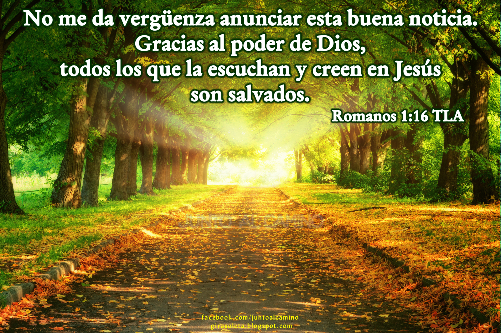 Junto al Camino: julio 2013