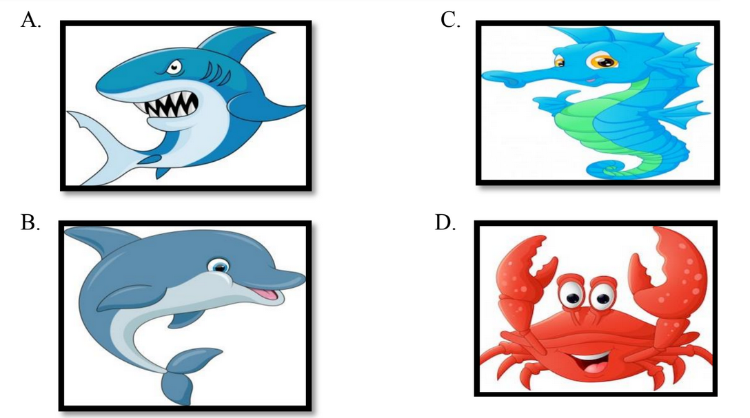 Latihan Soal PAT Bahasa Inggris SMP Kelas 7 (Sesi 03) - BELAJAR