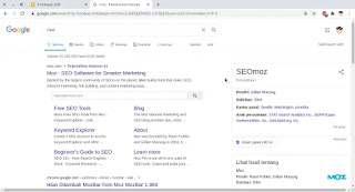 Moz Sitelink Search Box