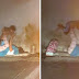 Powerful Pictures Of Homeless Mother Playing With Her Son In The Midst Of A Traffic Jam