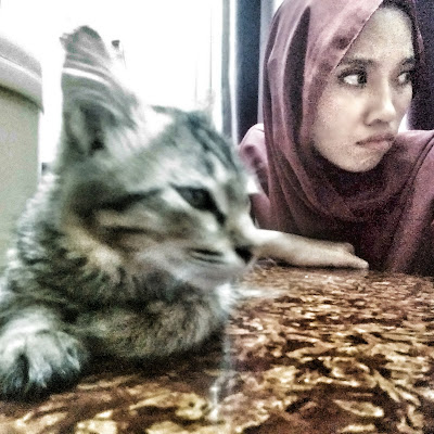 20 Ciri-Ciri Pencinta Kucing yang Obses 20 Ciri-Ciri Pencinta Kucing yang Obses