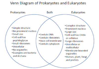 Venn-diagram-of-prokaryotes-and-eukaryotes