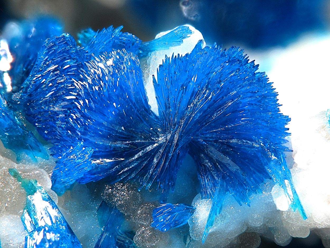 Electric-blue Veszelyite Crystals - Geology In