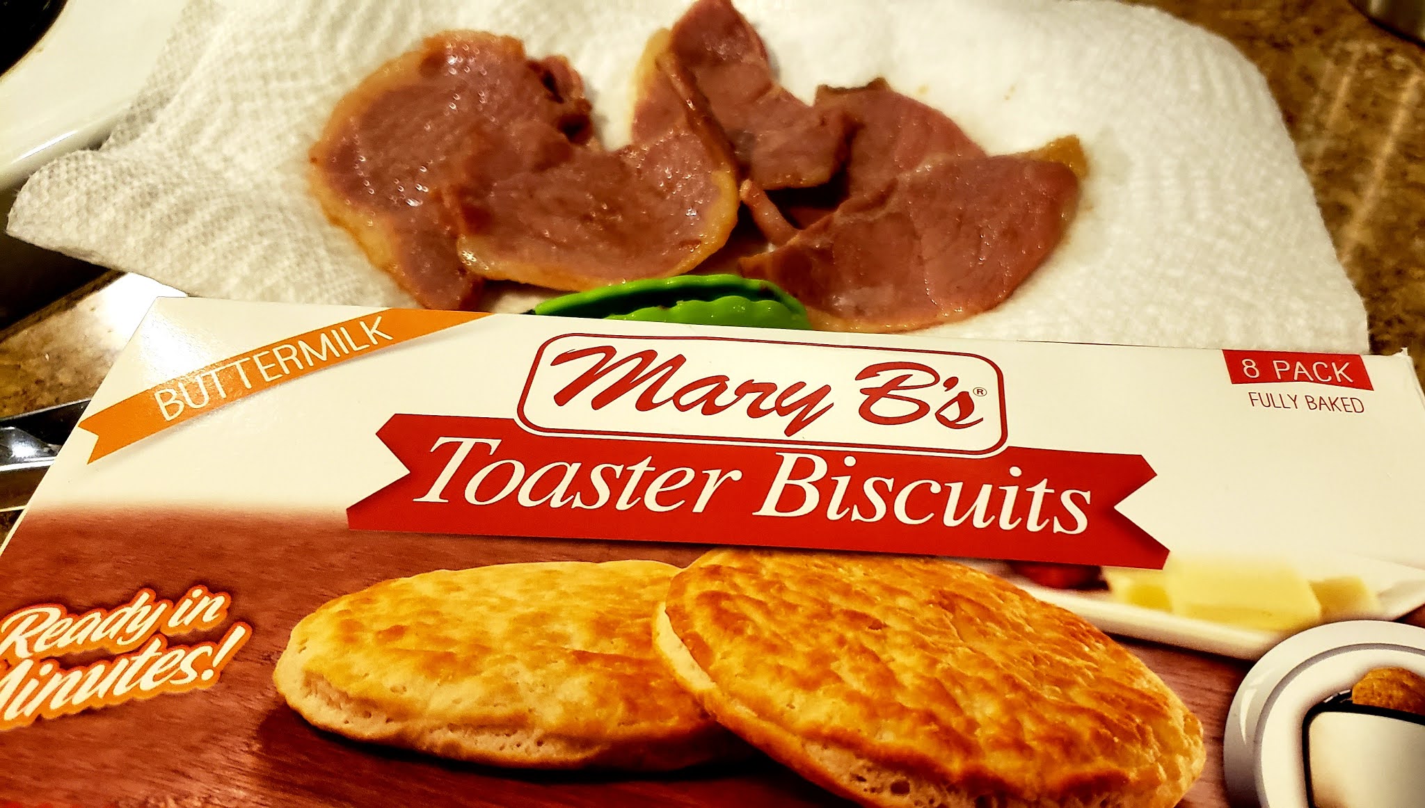 Toaster Biscuits Shining Light Amongst the Darkness or Yet Another