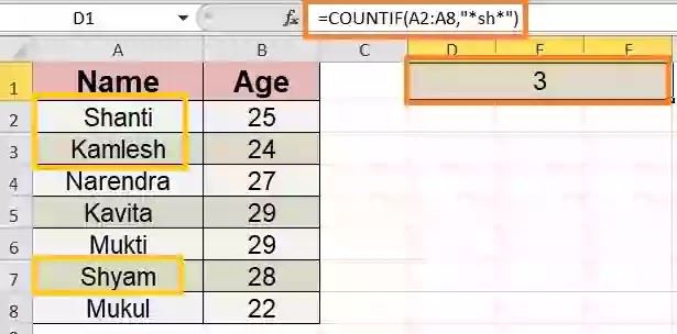 countif with asterisk countif with wildcard, countif with asterisk