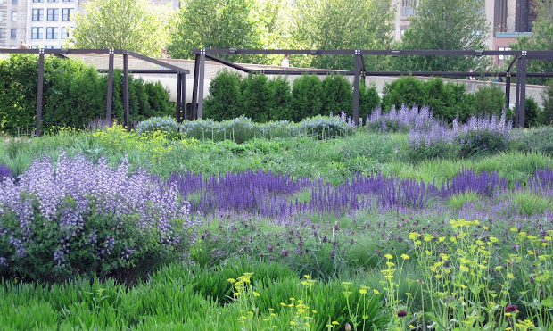 achieving happiness in garden