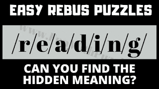It contains easy rebus puzzles in which your challenge is to find the hidden meaning of the puzzle images