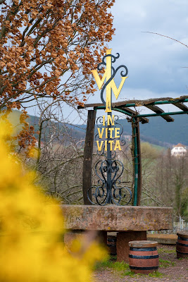 Pfälzer Mandelpfad | Etappe 05 Edenkoben – Birkweiler | Wandern Südliche Weinstraße | Mandelblüte Pfalz 05