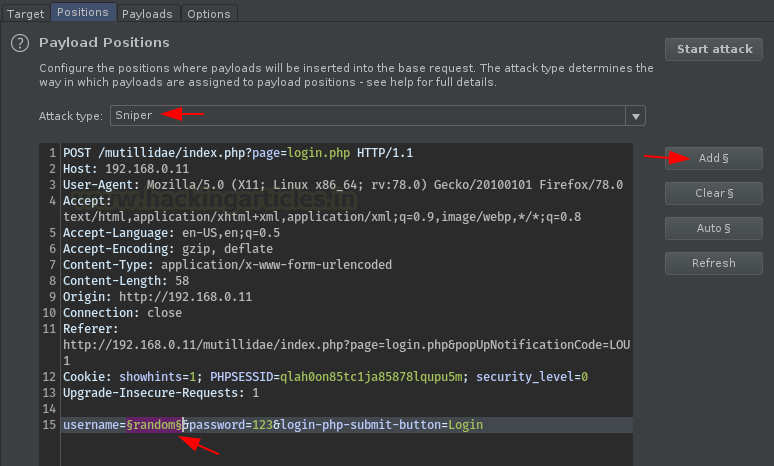 Burp Suite Fuzzing with Intruder