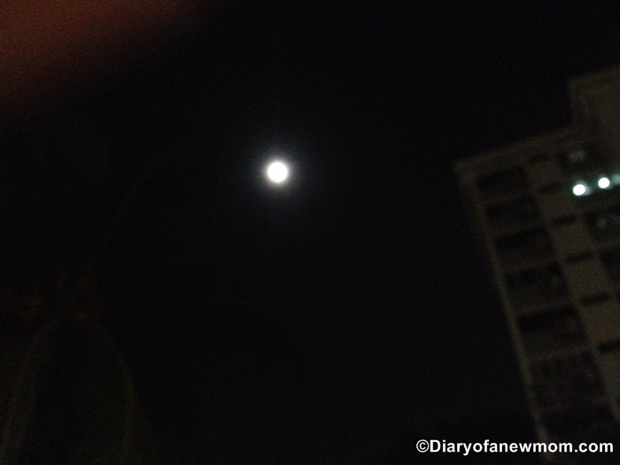 Phases of the Moon with My Toddler