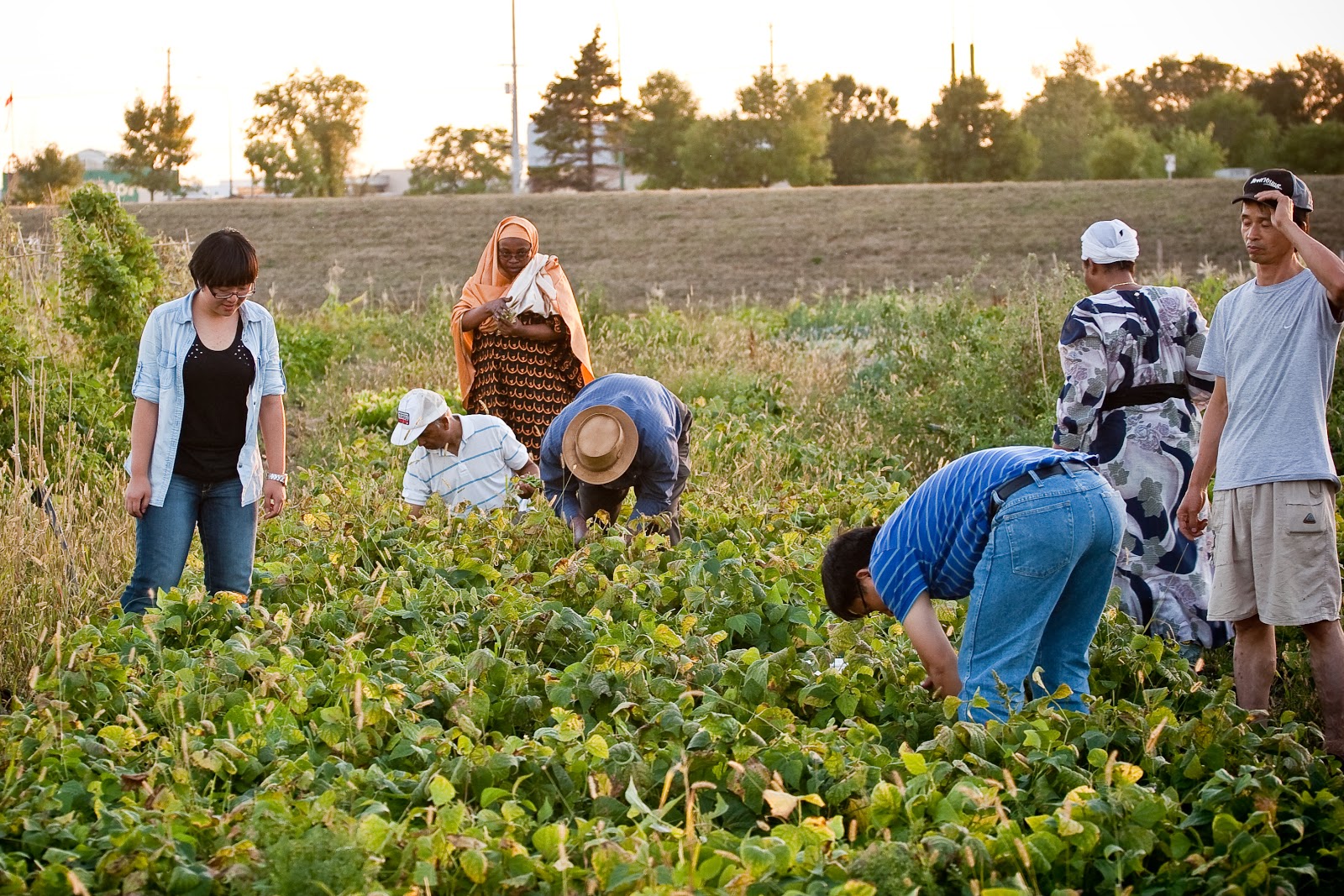 Heifer International Canada