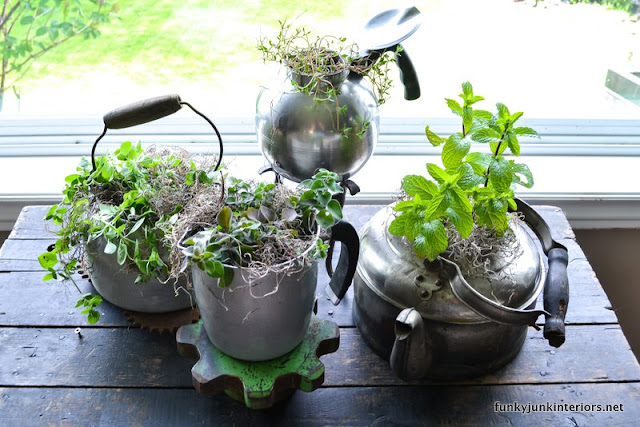 herb garden planted in old kettles via Funky Junk Interiors