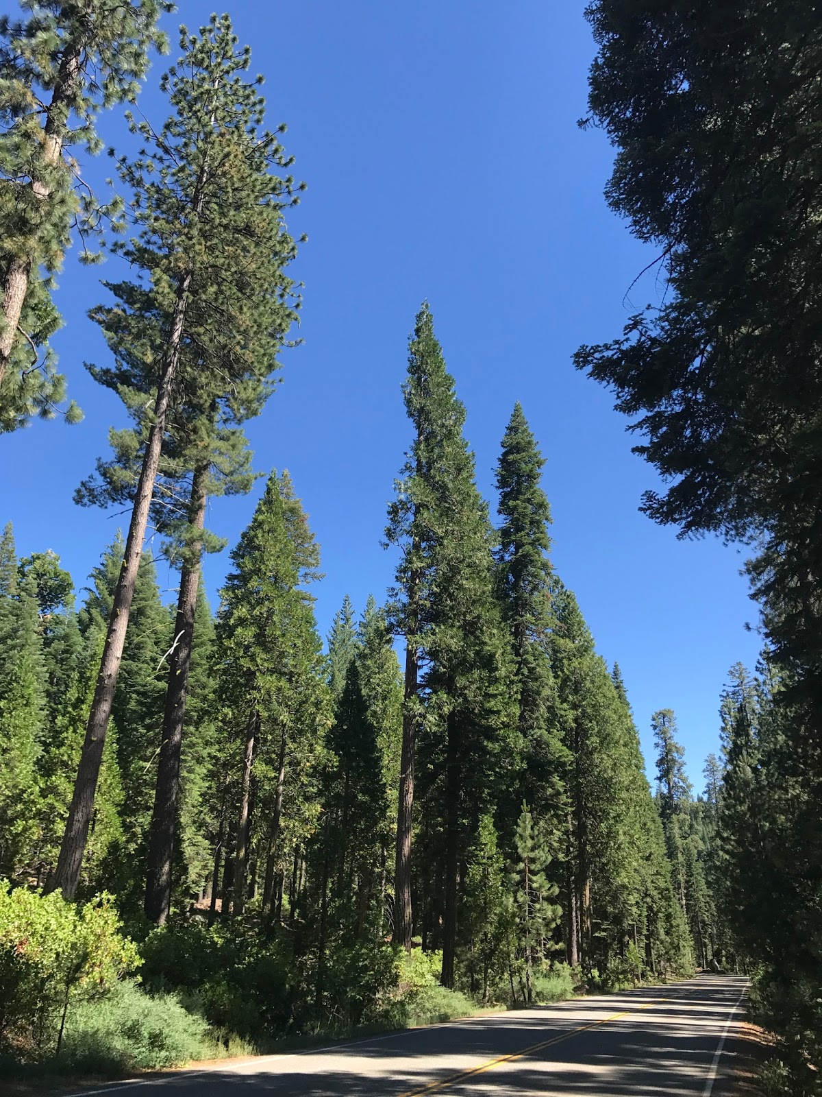 H*Mac my photographic journal El Dorado National Forest