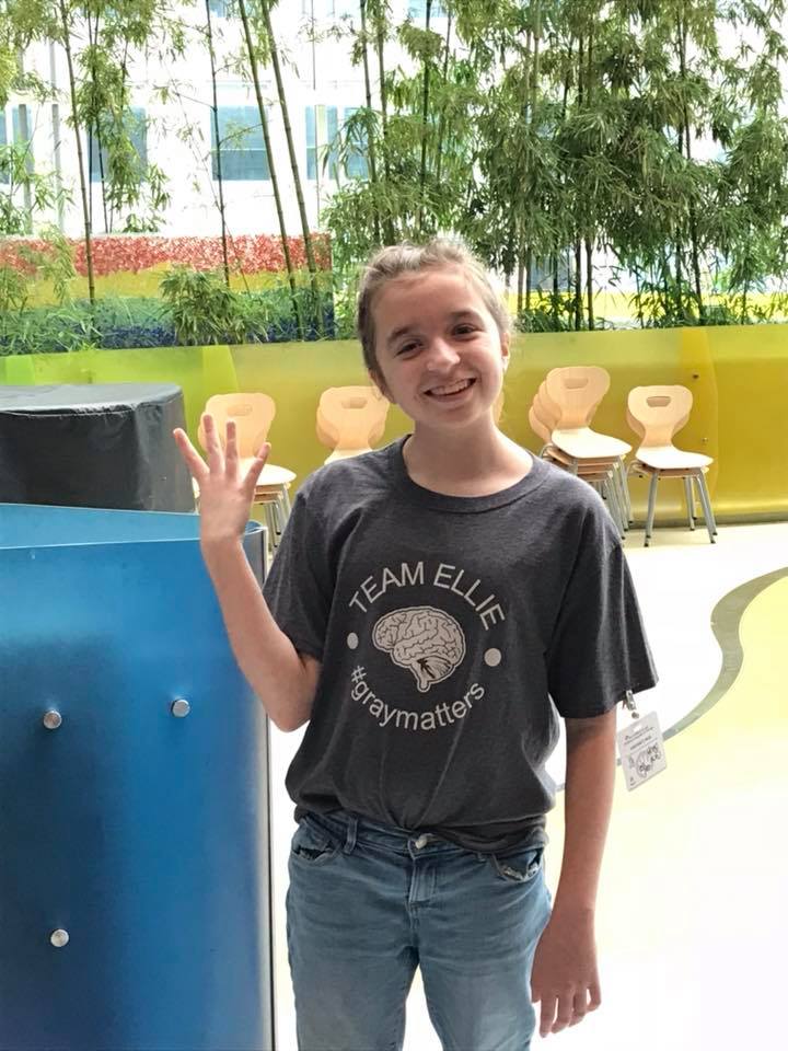 The Incidental Cyclist The Great Cycle Challenge