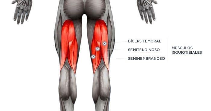 Dores de cabeça diárias espasmos musculares