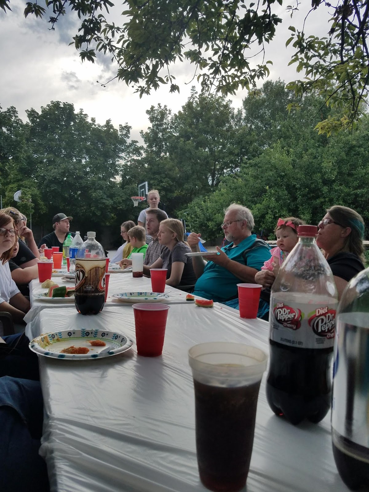 Twelve Makes a Dozen Pioneer Day 2017