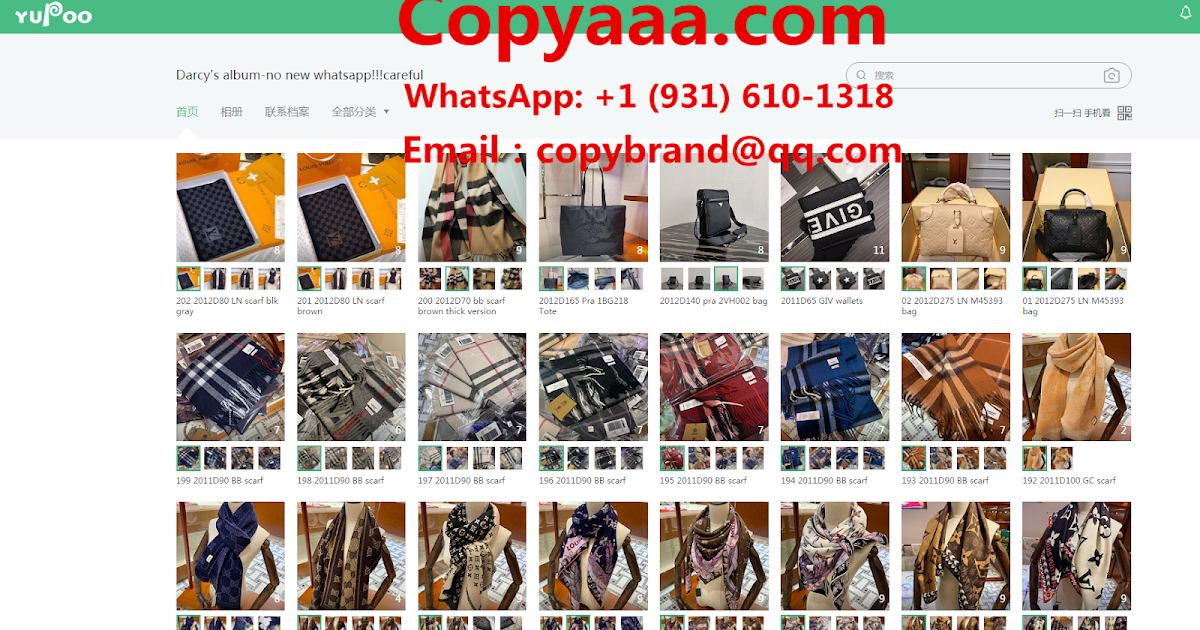 contact WhatsApp +1 (931