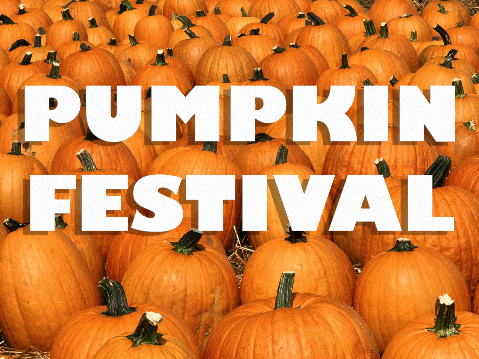Frackville Pumpkin Festival is This Saturday