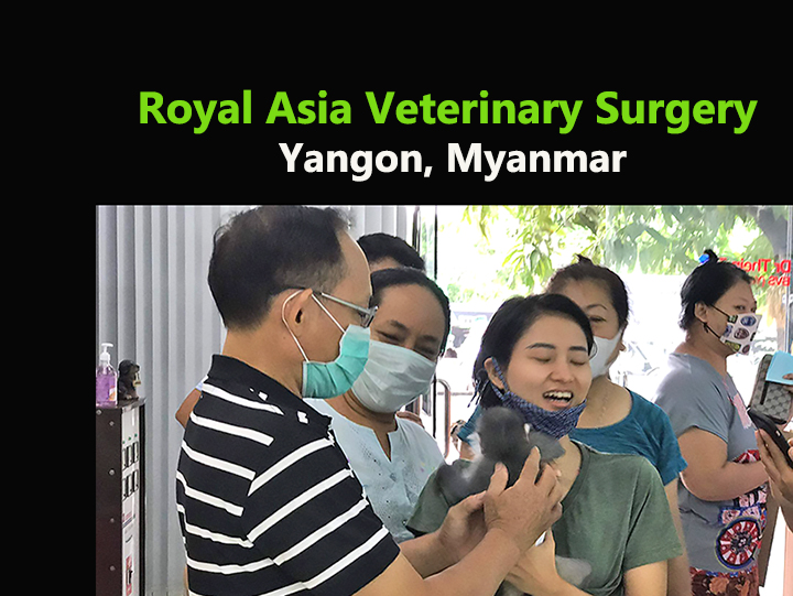 Be Kind To Pets, Vet case studies, Photography tips, Travel Stories