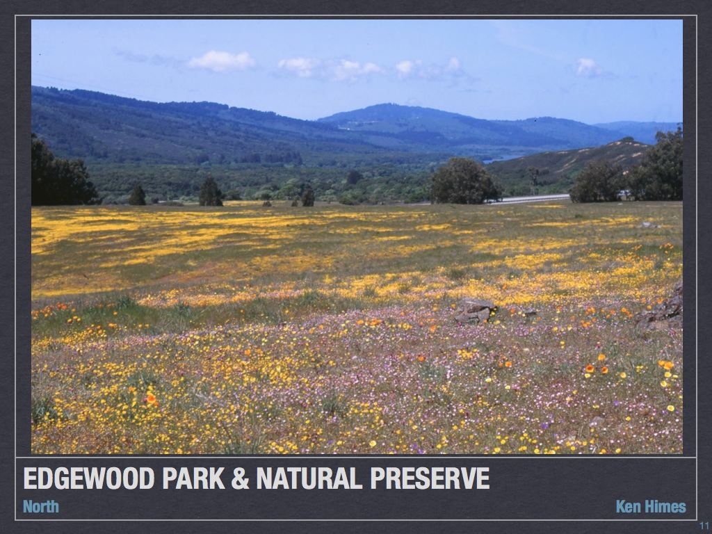 Dipper Ranch Edgewood Park and Natural Preserve Wildflower Hotspot 2