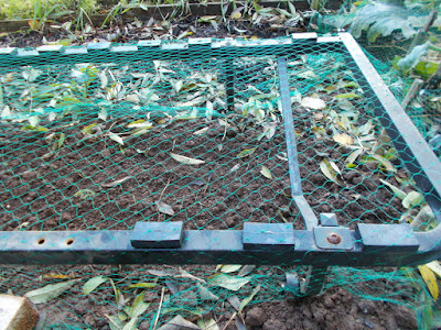 Garden netting Grow your own garlic 80 Minute Allotment Green Fingered Blog
