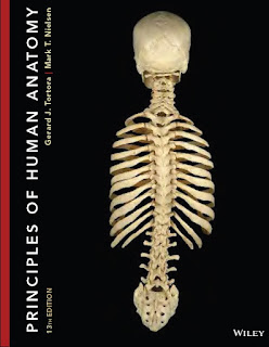 Principles of Human Anatomy 13th Edition Principles of Human Anatomy 13th Edition
