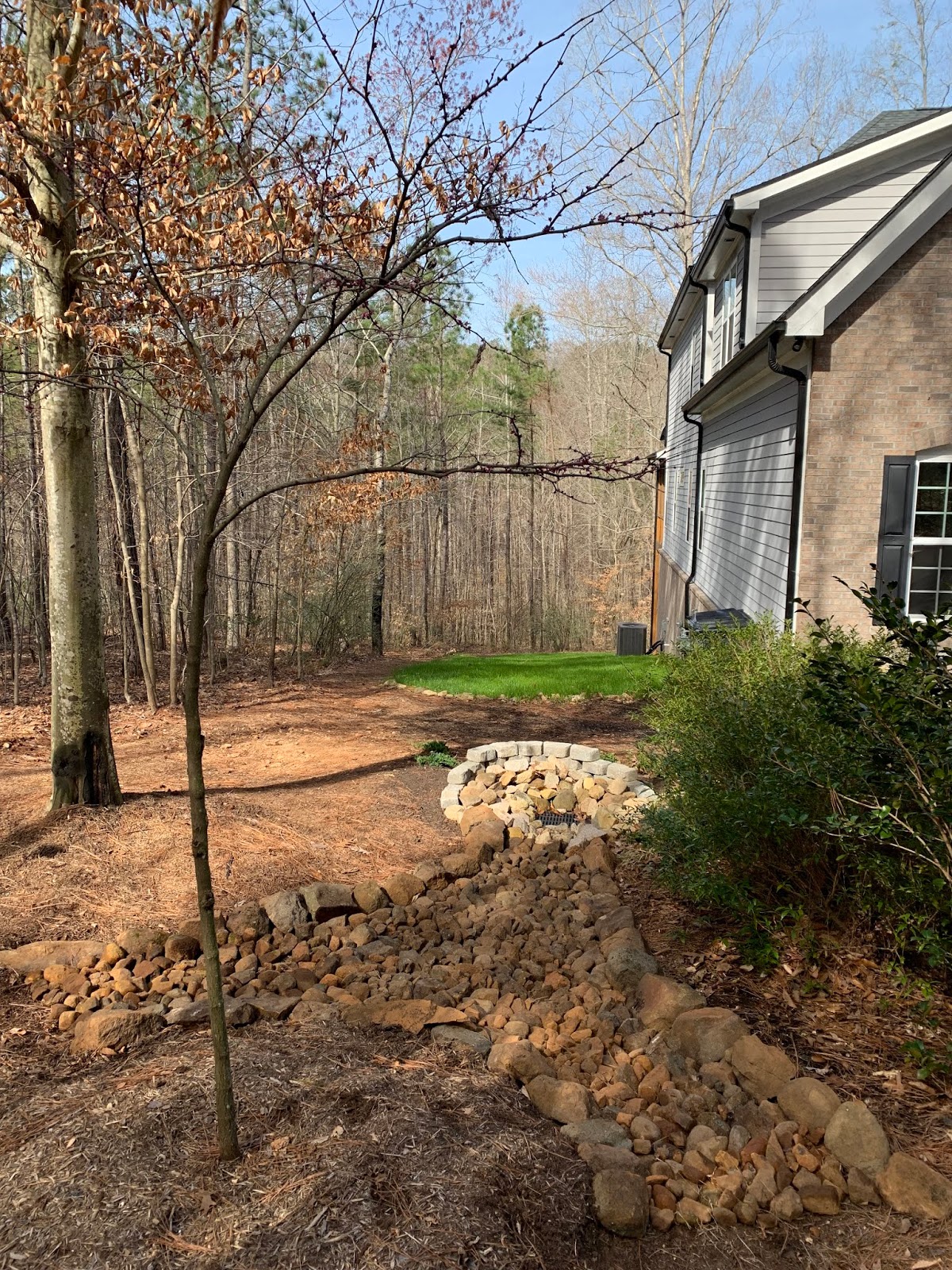 Price Creek DIY Catch Basin Landscaping