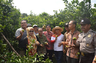 Kunjungan Kerja Direktur Buah dan Florikultura Kementan RI