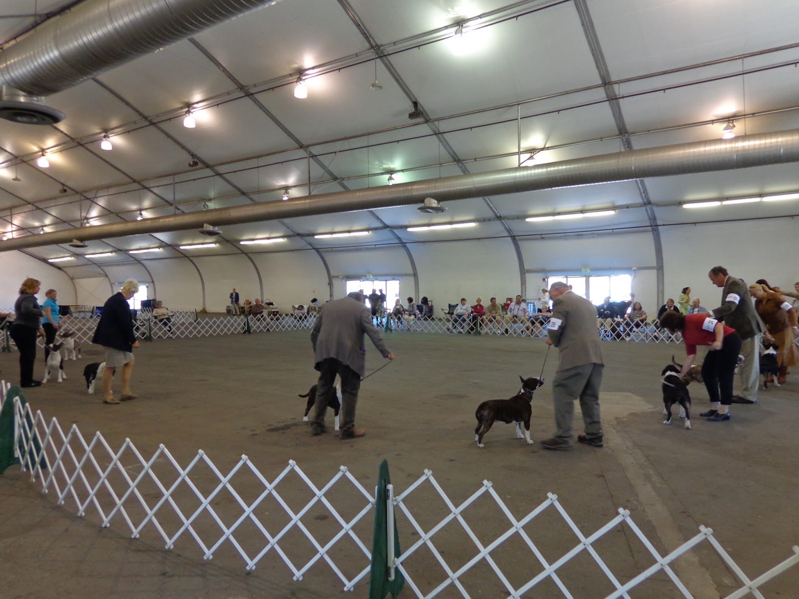 Sacramento Kennel Club Dog Show 2013 Frugal Family Tree