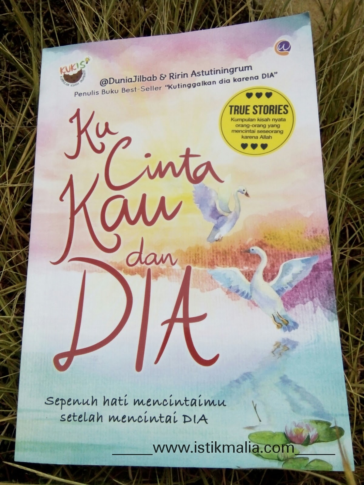 Impian Istikmalia 214 Ku Cinta Kau Dan Dia