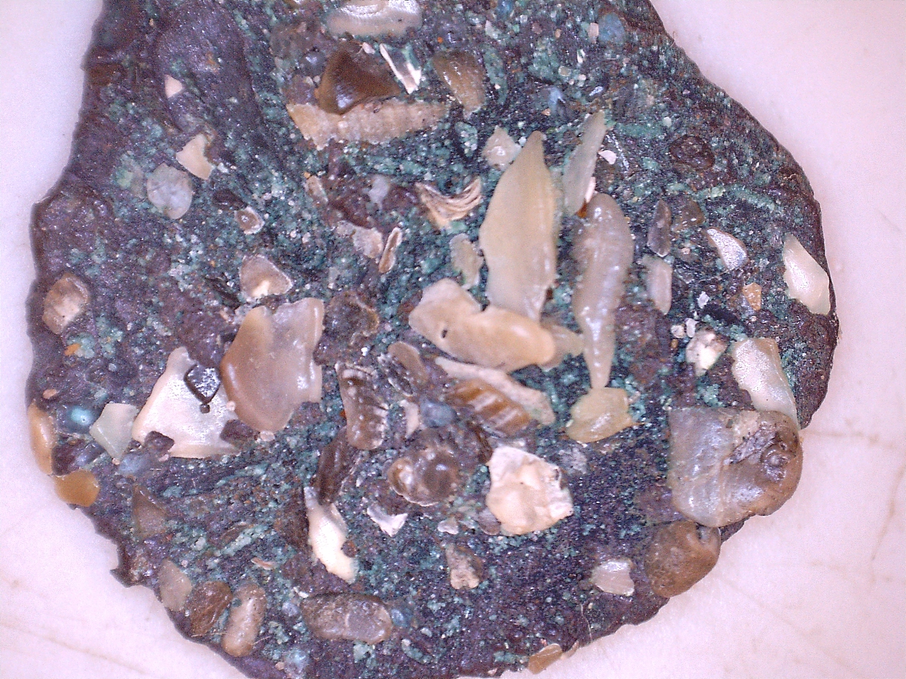 The Treasure Beaches Report Direct From Florida's Treasure Coast. 11