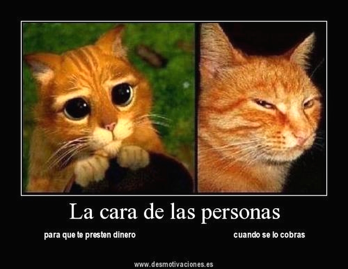 imagenes-fotos-247