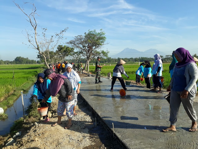 Srikandi Desa Jimbung Beraksi Di TMMD Reg 105   