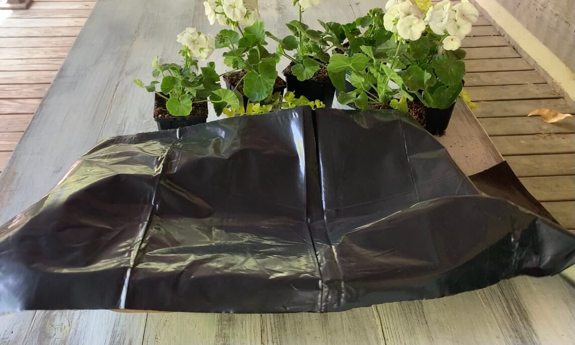 How to Make a Wood Dough Bowl Planter Centerpiece The Roots of Home