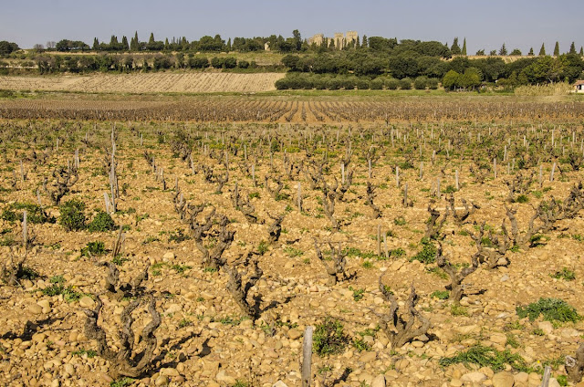 Vinuri Châteauneuf-du-Pape Franta