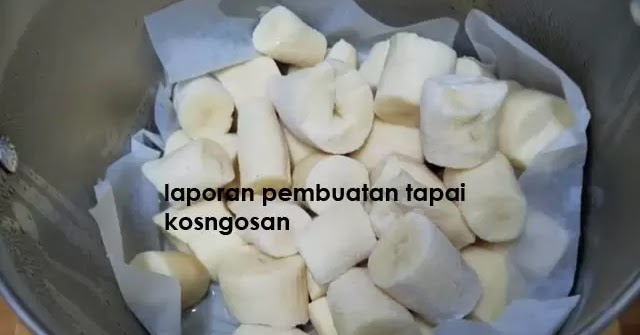 Laporan Hasil Membuat Tape Singkong Dan Tape Ketan Dari Fermentasi Menggunakan Ragi Kosngosan