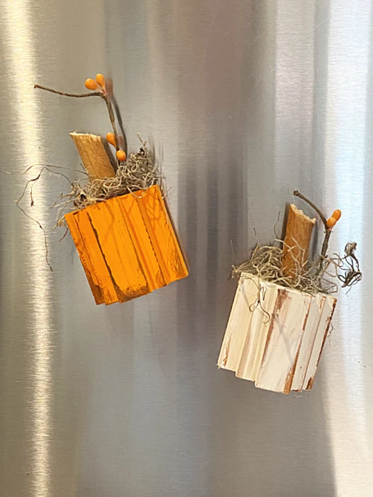 refrigerator with pumpkin magnets