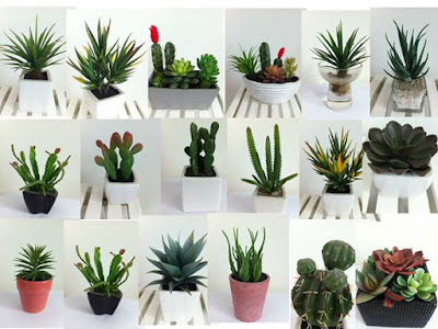Indoor plants that are easy to care for, suitable for apartments