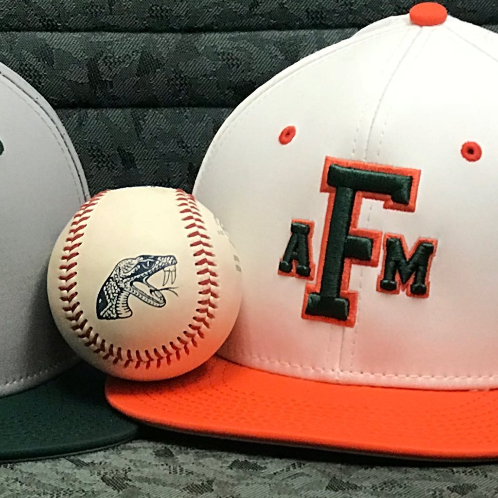 Rattler Nation Nine FAMU baseball players receive MEAC AllAcademic honors