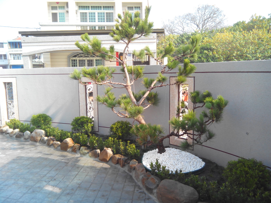 東、西側庭園植栽 造景知識 庭園造景須知建議 富臨園藝造景設計 ‎ 高級庭園用樹 別墅造景 彰化台中南投雲林 專業園藝造景設計 富臨園藝行