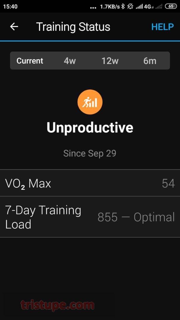 Garmin Training Status Explained