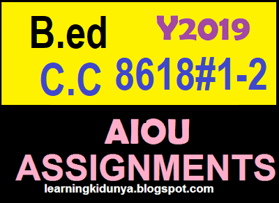 Aiou assignment ba image