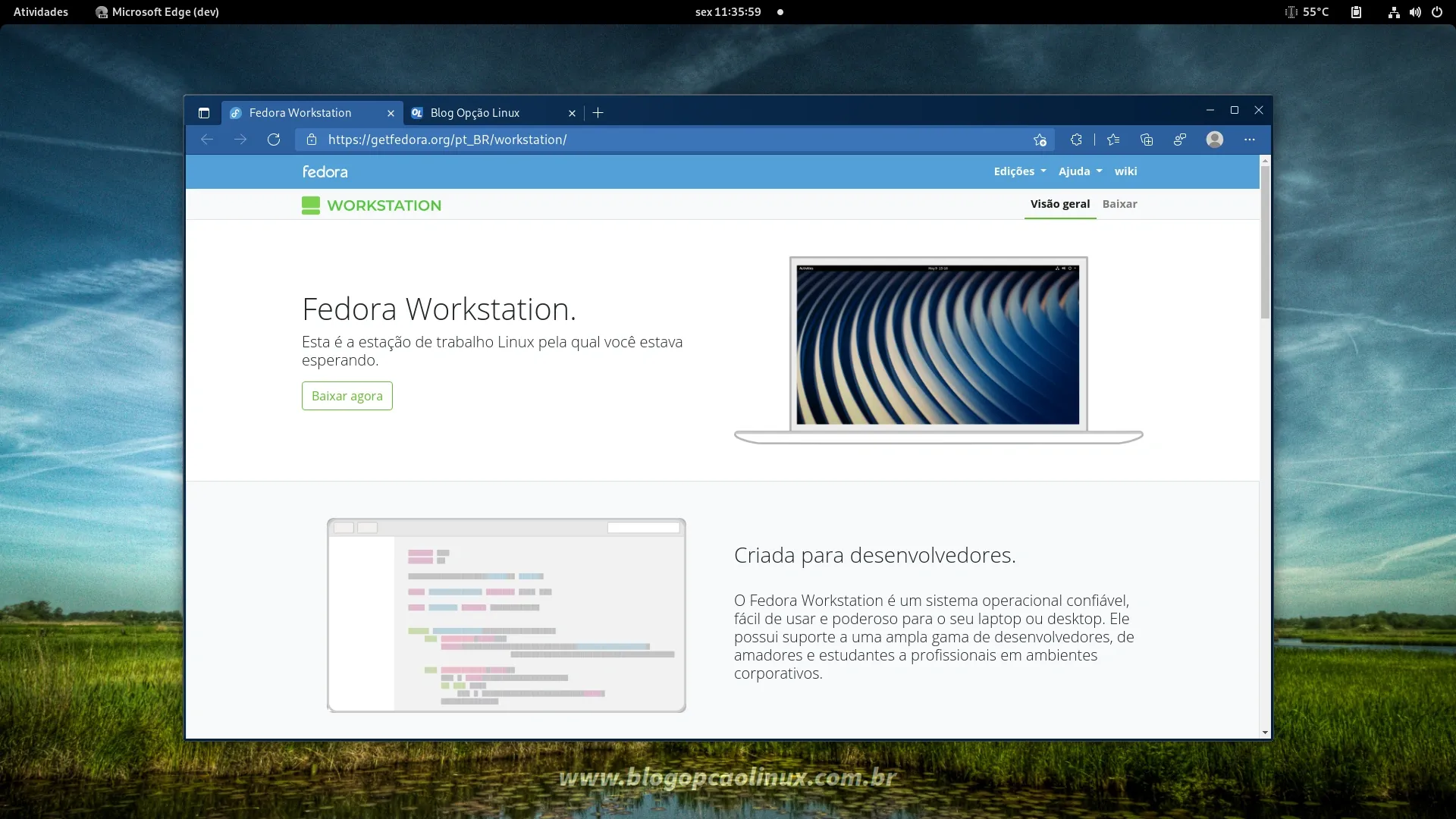 Navegador Microsoft Edge executando no Fedora Workstation